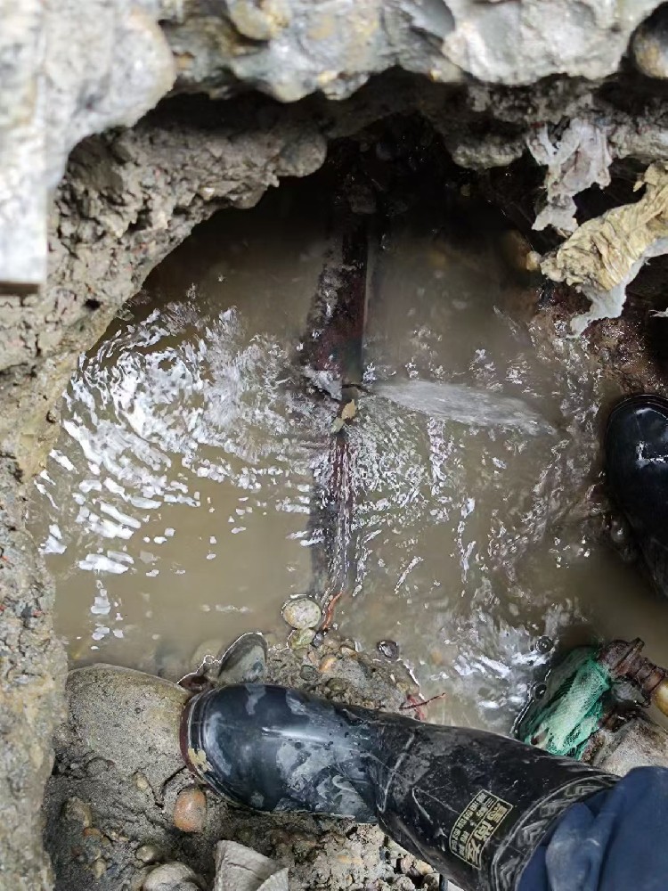 南充地区绿化水管漏水检测维修